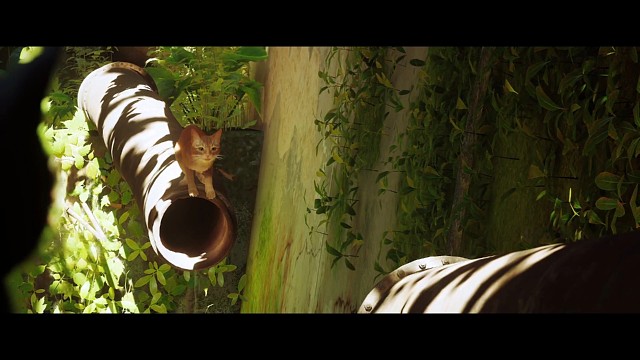 小貓模擬器