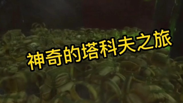 逃离塔科夫:神奇的塔科夫之旅。