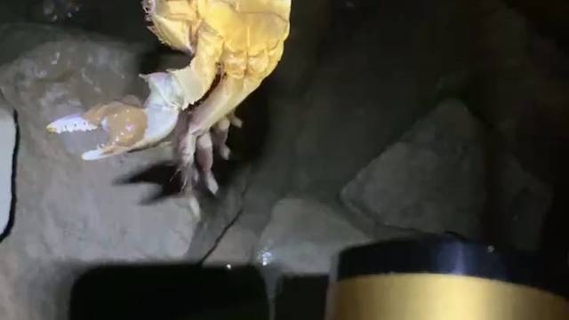 钓鱼人除了鱼钓不到，其他都能钓！