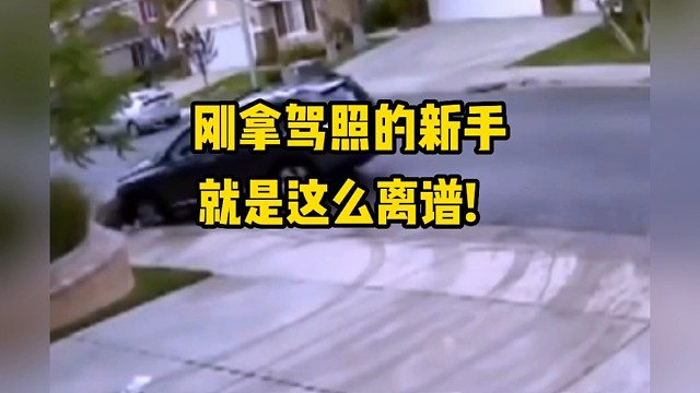 刚拿驾照的新手开车真的是，无法用语言来形容