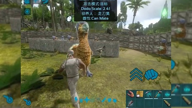 騎著小恐龍溜達是什么感覺呢？