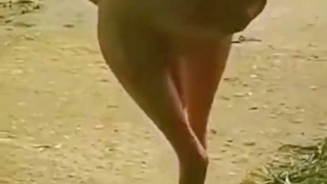 这就是典型的没毛病!