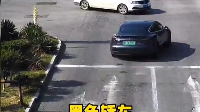 这下以后就不敢了吧