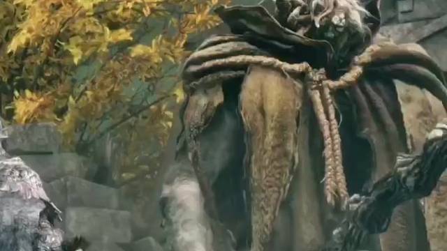 老头环的真爱粉听力考试开始了哦