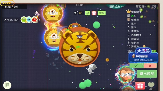 有点欺负人的测涨