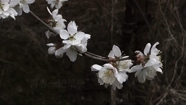 “有些东西该放弃就放弃”