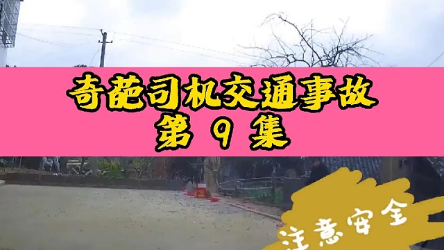 奇葩司机交通事故第9集