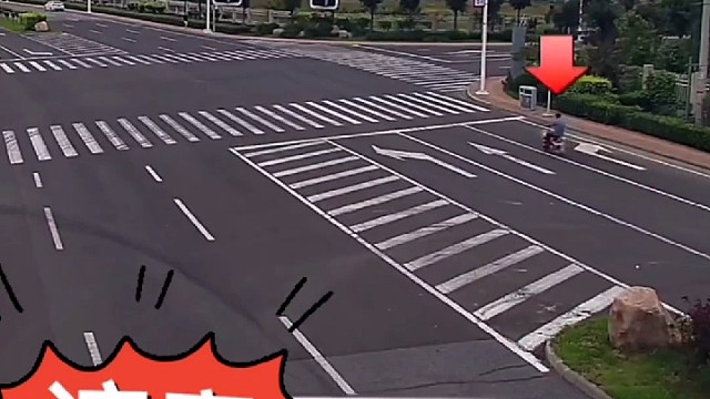 大哥骑车被狗撞了，这个算谁的全责