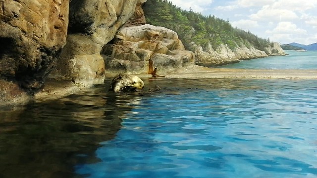 无标题，就是最好的标题