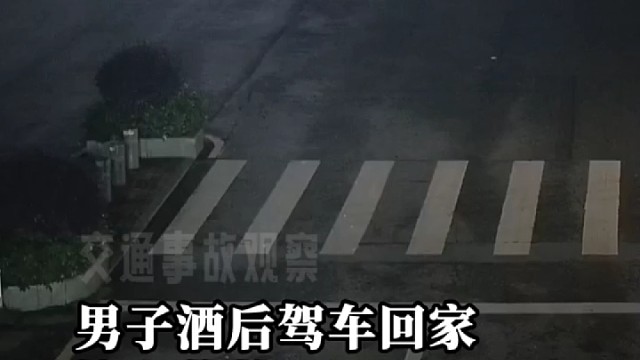 男子酒后驾车回家撞上花基