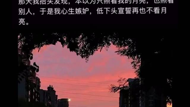 我知道那不是我的月亮但有一刻月光确实照在我的身上