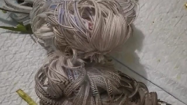 以为是恶搞，还真是鸟