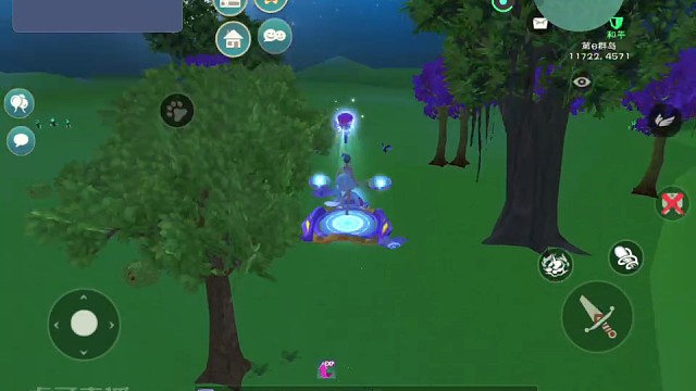 我飞进步行区了