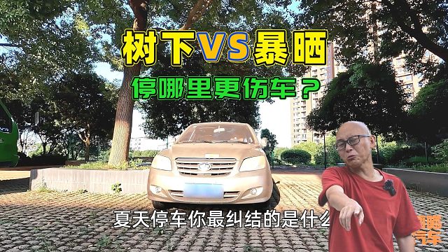 夏天车子停树下和太阳下暴晒，哪种更伤车？别纠结了，我试给你看