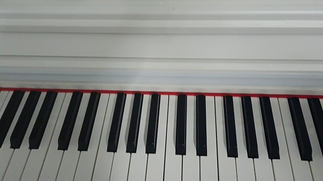 xdm本来想给你们弹琴来着，后来挨了一巴掌