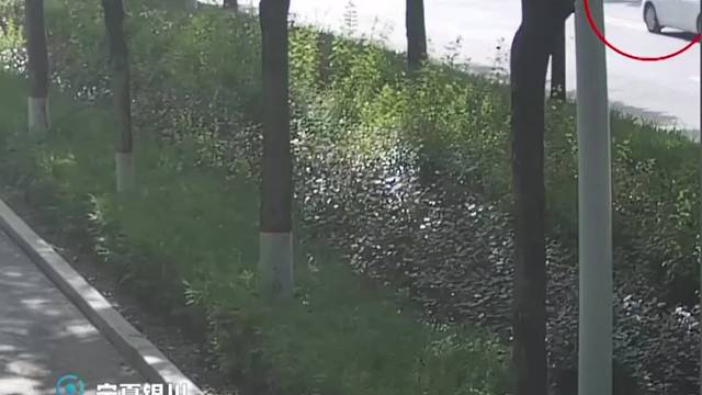 什么叫头铁，直接就装上去