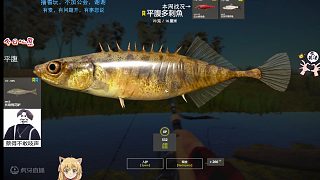 28圖——星平腹多刺魚（79星）
