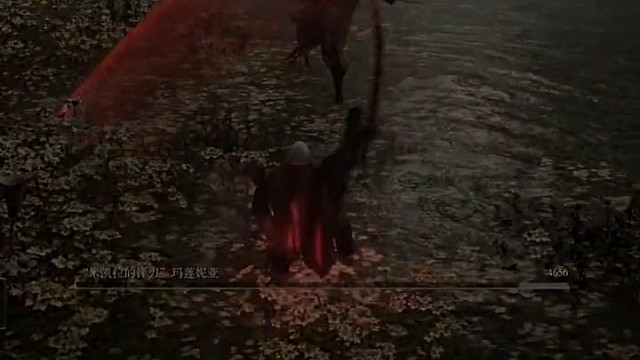 艾尔登法环：女武神弱点打法