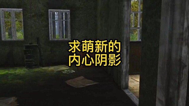 逃离塔科夫:求萌新的内心阴影。