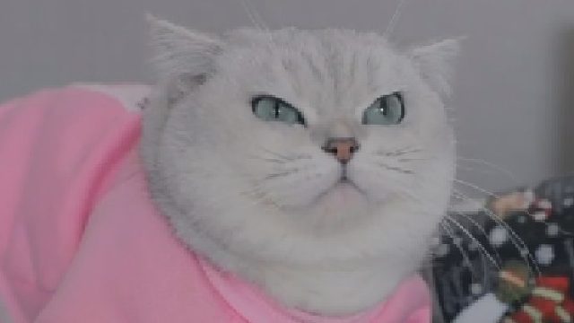 我与你的七个约定！永远别忘记我爱你!