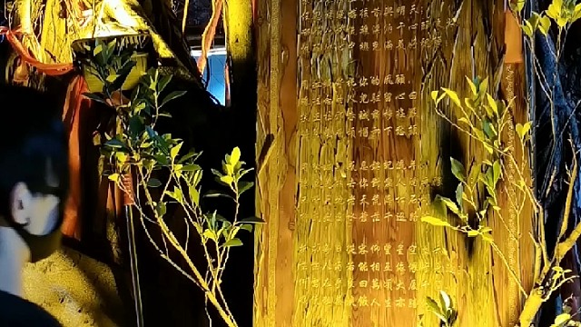 双重梦境的穿越原来是你的思念