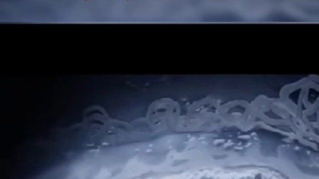 老兄，你是被吓的还是真的激动？