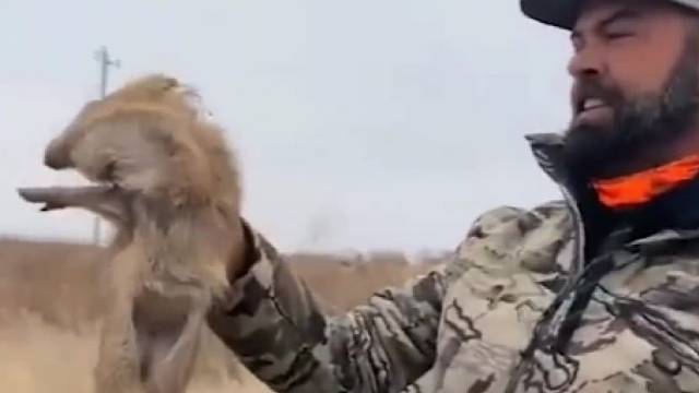 君子报仇十年不晚