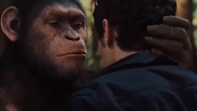 风里雨里，下午两点锁定直播间27532175，免费带粉，一人一至两车，请各位好兄弟有序上下车