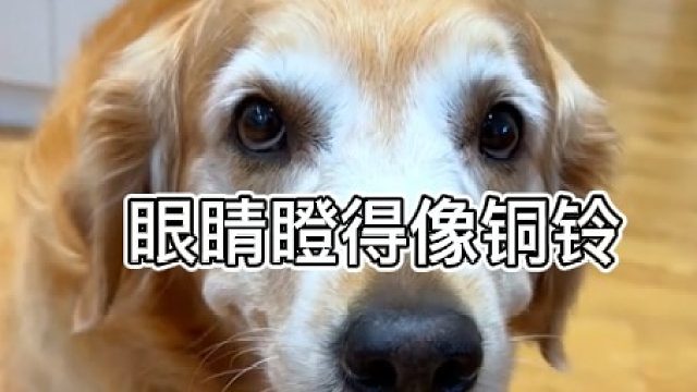 给孩子们多一点鼓励吧！