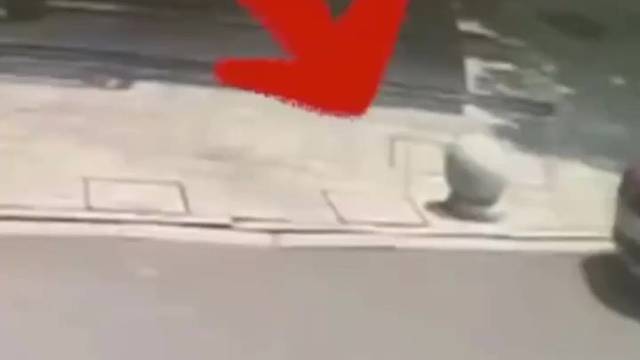 这个司机也太爱玩了，开车还要玩球