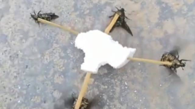 我这咋飞不起来呢，哪里零部件出问题了？