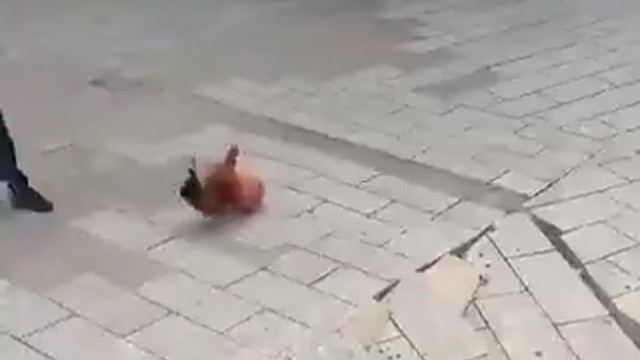 你把和联系起来想一想！