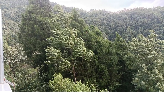 因没法播了兄弟们