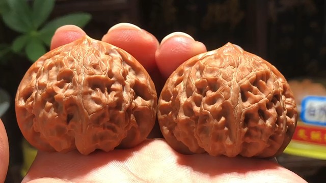 精品御玺宫灯狮子头，桃心桩宫灯狮子头，老树红皮骨质好上色快，边42肚40高35全新，好东西不多喜欢的