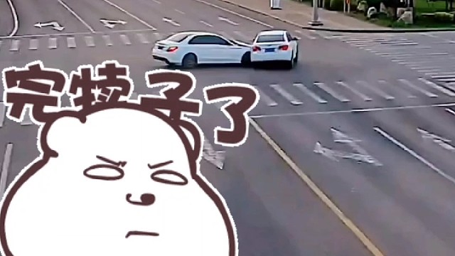 无视信号灯害人害己