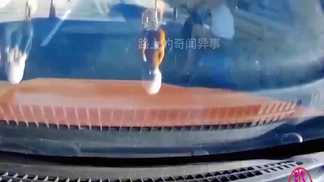 监控下的惊险车祸现场