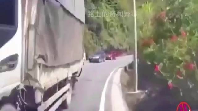 监控下的惊险车祸现场