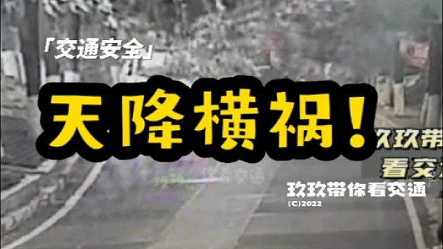 路边大树突然折断，车辆路过无辜中招！