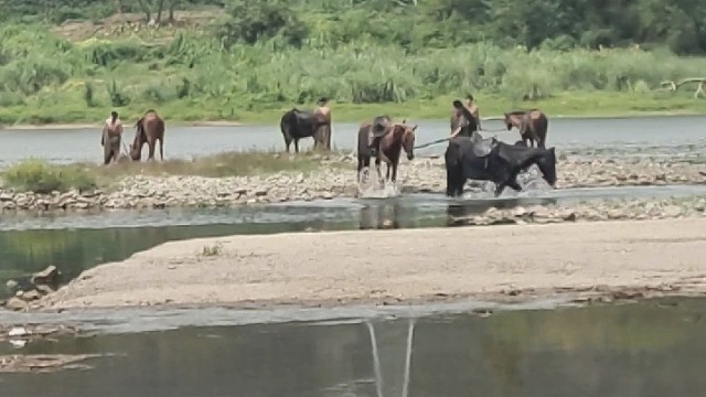 《电影制作》《幕后工作》
拍戏现场基本都不允许带手机的哦～
只能在饮马的时候偷个日常给大家瞧一眼啦～