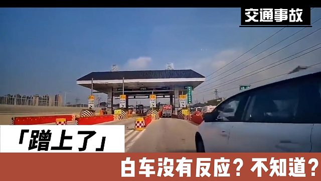 蹭上了白车没有反应？不知道？