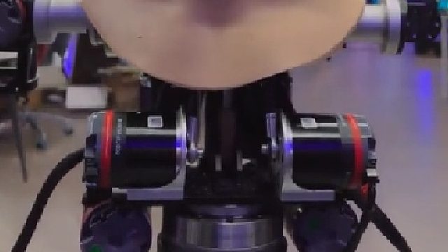 很难想象百年后世界会是怎么样的