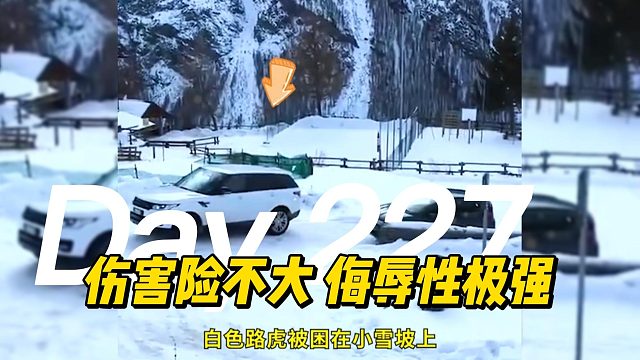 伤害险不大 侮辱性极强