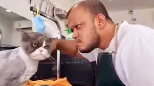 地球上奇怪的动物第一集