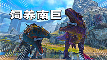 方舟生存28：我发现驯服南巨，比驯服疯丫头简单多了！