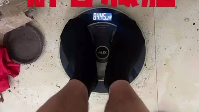 公鸽子战败，躺床上好几天，有没有同款