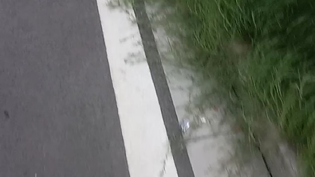 前几分钟还大太阳，后几分钟大分打雷下大雨[旺柴]