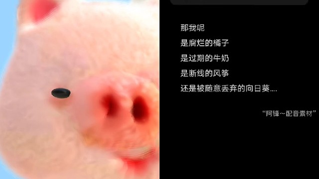 那我呢
是腐烂的橘子
是过期的牛奶
是断线的风筝
还是被随意丢弃的向日葵