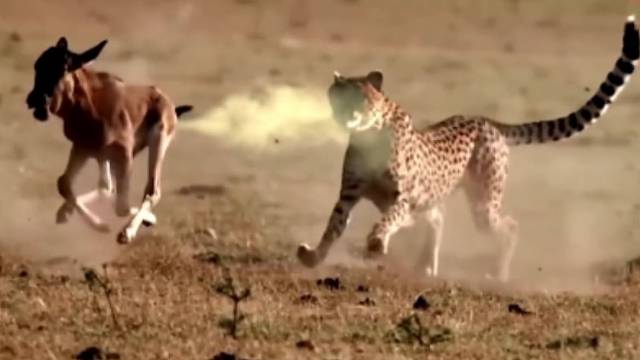 这难道是急支糖浆喷雾状？