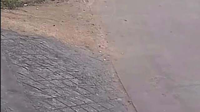 骑车玩手机，结果？