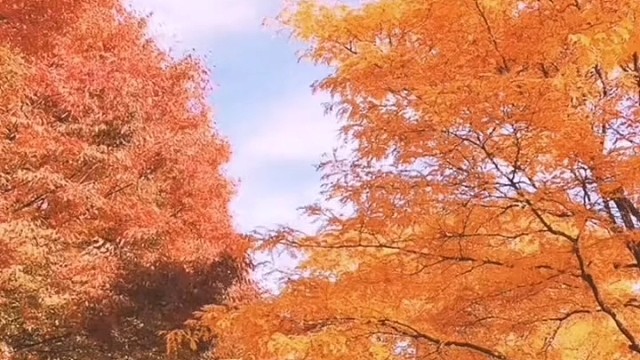 兄弟们。让你的小姐妹给你唱